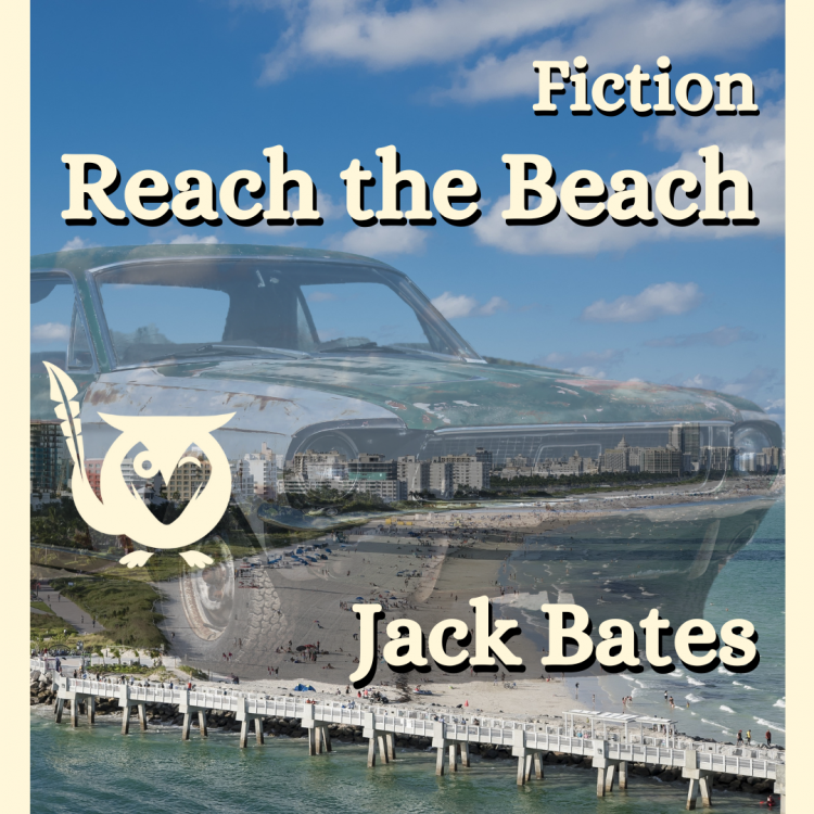 Reach the beach - title cover - image of Florida beach, with car superimposed over top with title text
