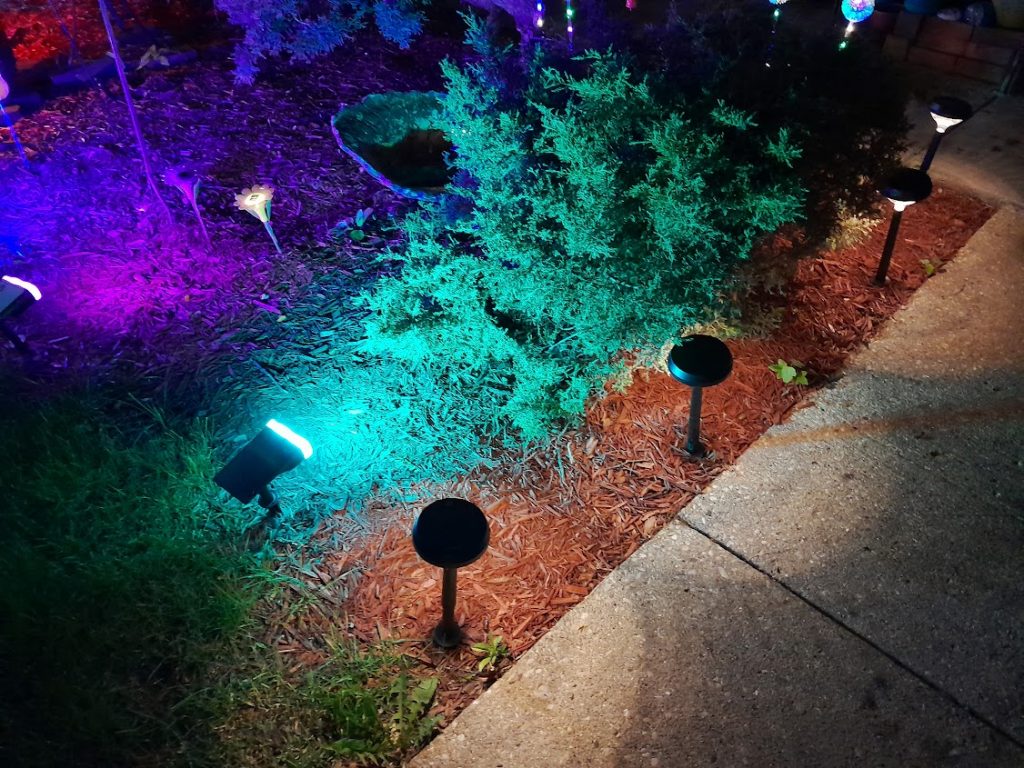 colorful lights in a garden
