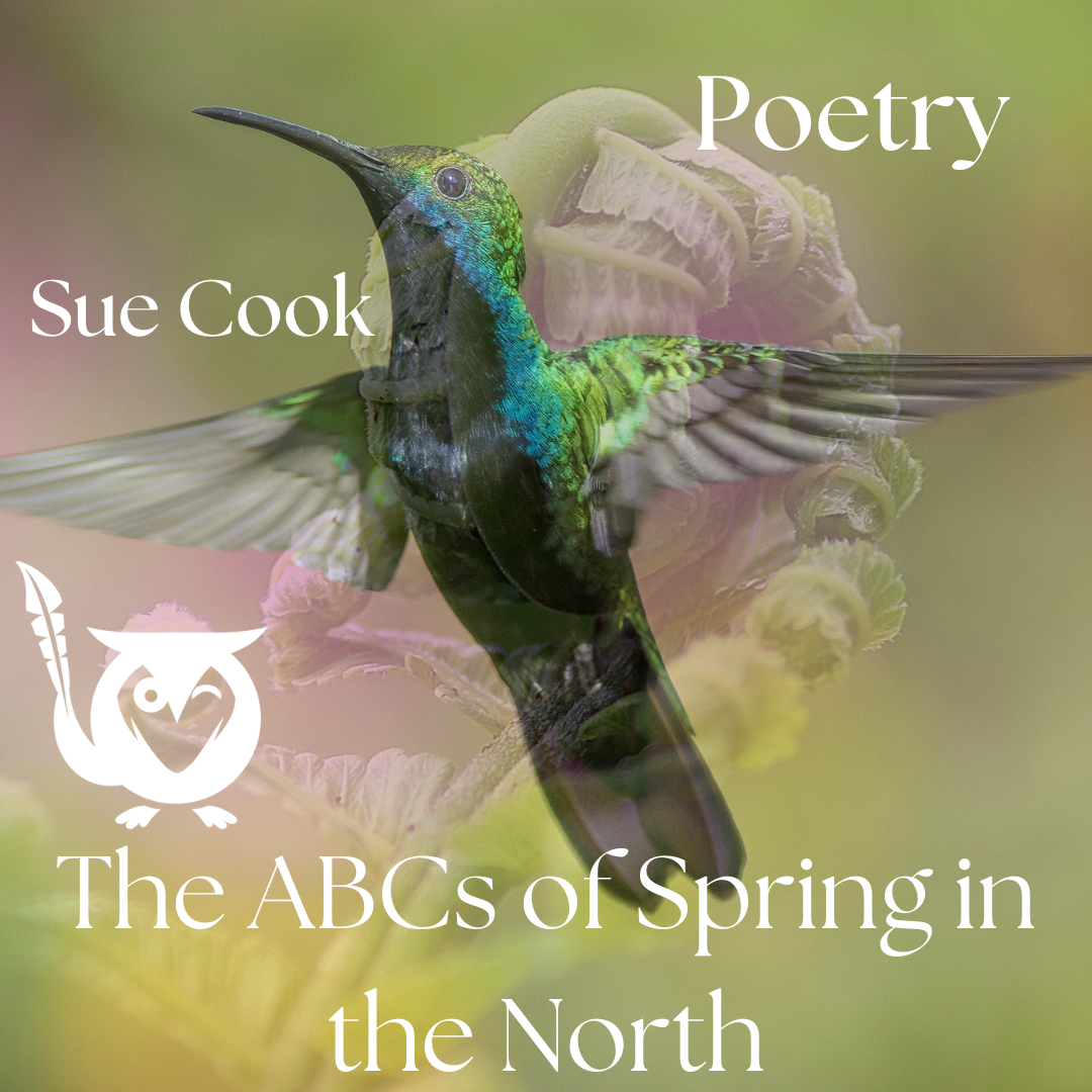 hummingbird over fiddlehead fern - spring in the north